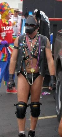 Human puppy Pup Flip at St. Pete Pride Parade